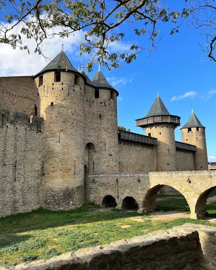 Le Reve Bleu Hyper-centre Appartamento Carcassonne